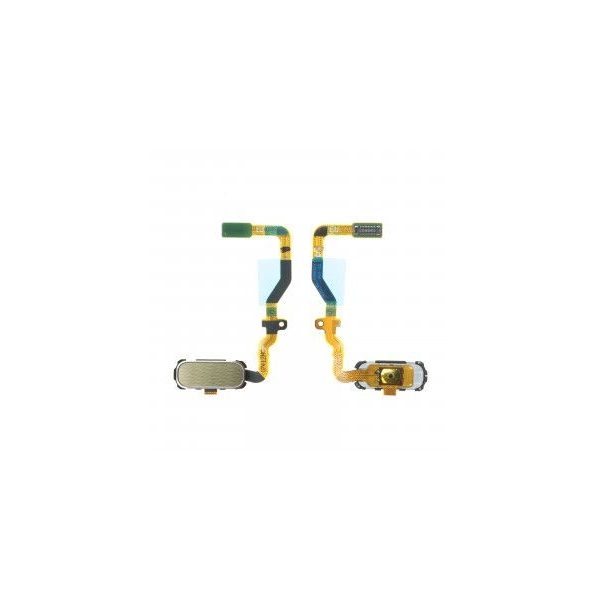 BOUTON HOME S7