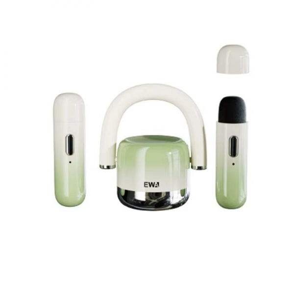 EWA GREEN/BEIGE MINI...